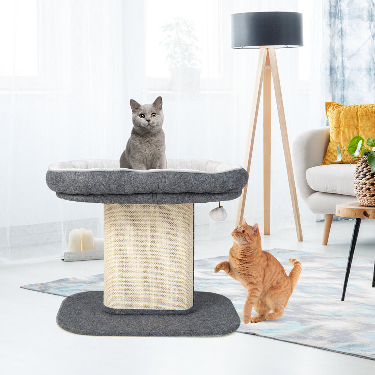 Wayfair hotsell cat perch